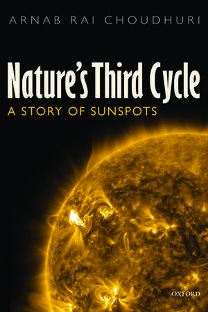 Nature's Third Cycle: A Story of Sunspots de Arnab Rai Choudhuri