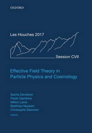 Effective Field Theory in Particle Physics and Cosmology: Lecture Notes of the Les Houches Summer School: Volume 108, July 2017 de Sacha Davidson