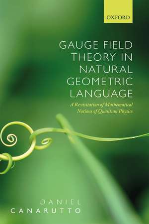 Gauge Field Theory in Natural Geometric Language: A revisitation of mathematical notions of quantum physics de Daniel Canarutto