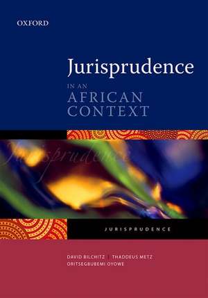 Jurisprudence in an African Context de David Bilchitz