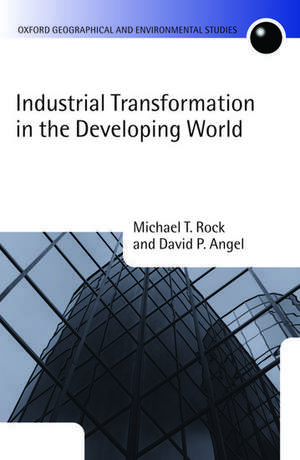 Industrial Transformation in the Developing World de Michael T. Rock