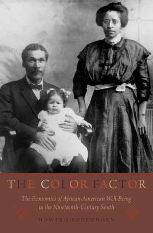 The Color Factor: The Economics of African-American Well-Being in the Nineteenth-Century South de Howard Bodenhorn