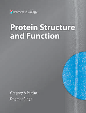 Protein Structure and Function de Gregory Petsko