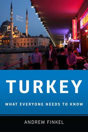 Turkey: What Everyone Needs to Know® de Andrew Finkel