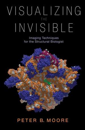 Visualizing the Invisible: Imaging Techniques for the Structural Biologist de Peter Moore