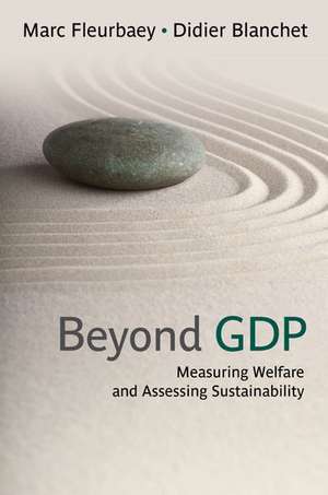 Beyond GDP: Measuring Welfare and Assessing Sustainability de Marc Fleurbaey