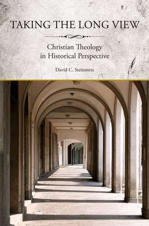 Taking the Long View: Christian Theology in Historical Perspective de David Steinmetz