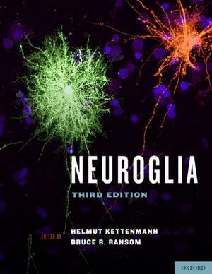 Neuroglia de Helmut Kettenmann