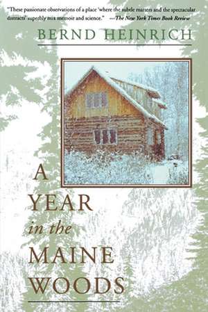 A Year In The Maine Woods de Bernd Heinrich