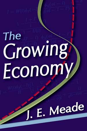 The Growing Economy de J. E. Meade