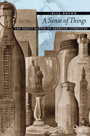 A Sense of Things: The Object Matter of American Literature de Bill Brown