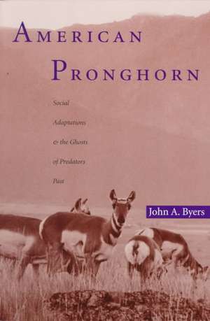 American Pronghorn: Social Adaptations and the Ghosts of Predators Past de John A. Byers