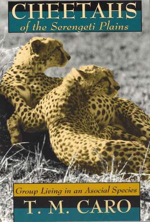 Cheetahs of the Serengeti Plains: Group Living in an Asocial Species de Tim Caro