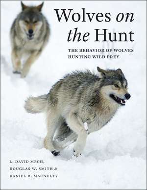 Wolves on the Hunt: The Behavior of Wolves Hunting Wild Prey de L. David Mech