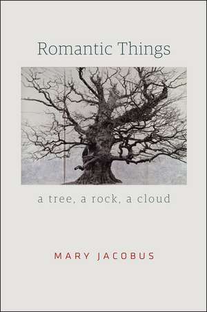 Romantic Things: A Tree, a Rock, a Cloud de Mary Jacobus