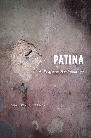 Patina: A Profane Archaeology de Shannon Lee Dawdy