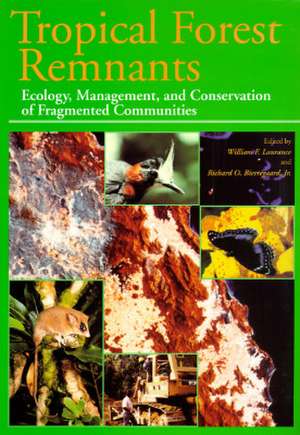 Tropical Forest Remnants: Ecology, Management, and Conservation of Fragmented Communities de William F. Laurance