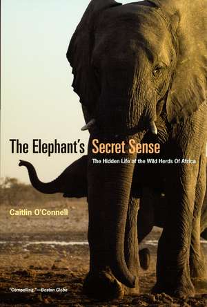 The Elephant's Secret Sense: The Hidden Life of the Wild Herds of Africa de Caitlin O'Connell