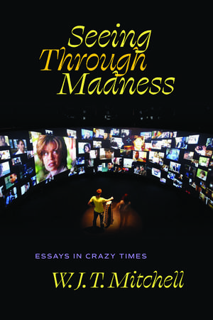 Seeing Through Madness: Essays in Crazy Times de Professor W. J. T. Mitchell