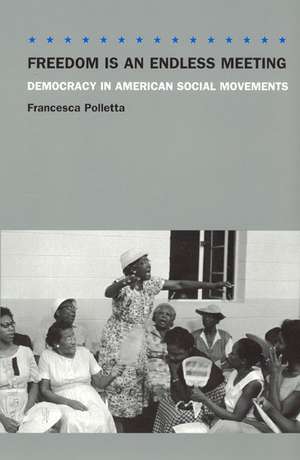 Freedom Is an Endless Meeting: Democracy in American Social Movements de Francesca Polletta