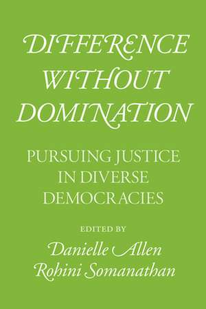 Difference without Domination: Pursuing Justice in Diverse Democracies de Danielle Allen