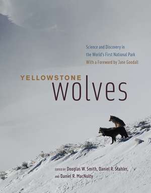 Yellowstone Wolves: Science and Discovery in the World's First National Park de Douglas W. Smith