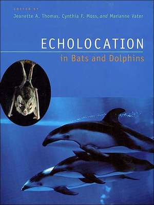 Echolocation in Bats and Dolphins de Jeanette A. Thomas