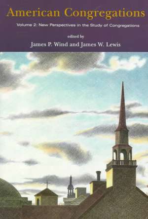 American Congregations, Volume 2: New Perspectives in the Study of Congregations de James P. Wind