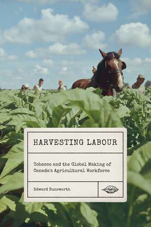 Harvesting Labour: Tobacco and the Global Making of Canada's Agricultural Workforce de Edward Dunsworth