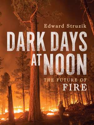 Dark Days at Noon: The Future of Fire de Edward Struzik