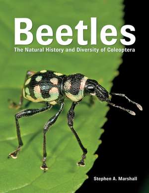 Beetles de Stephen A. Marshall