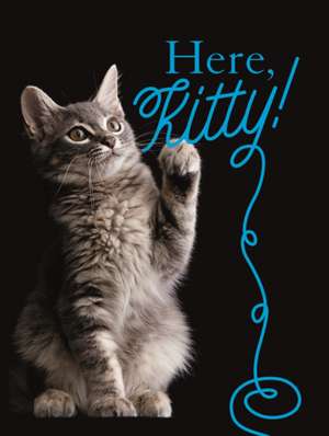 Here, Kitty! de Nicola Jane Swinney