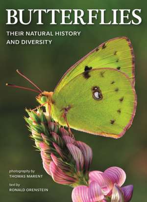 Butterflies: Their Natural History and Diversity de Ronald Orenstein