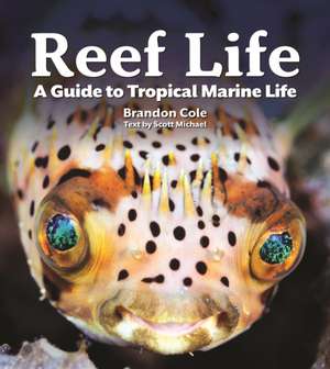 Reef Life de Brandon Cole