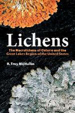 Lichens de R Troy McMullin