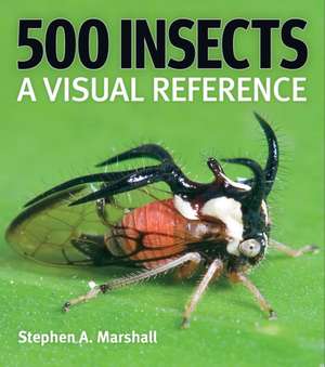 500 Insects de Stephen A Marshall