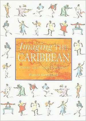 Imaging the Caribbean: Culture and Visual Translation de P. Mohammed