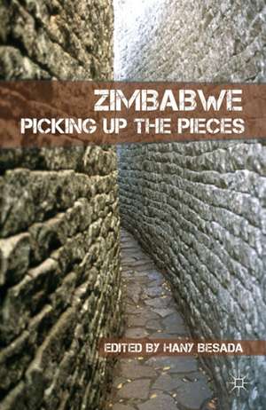 Zimbabwe: Picking up the Pieces de H. Besada