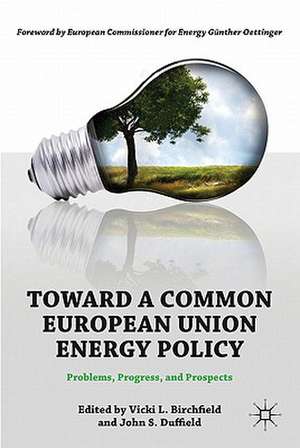 Toward a Common European Union Energy Policy: Problems, Progress, and Prospects de V. Birchfield