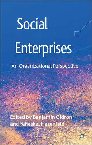 Social Enterprises: An Organizational Perspective de B. Gidron