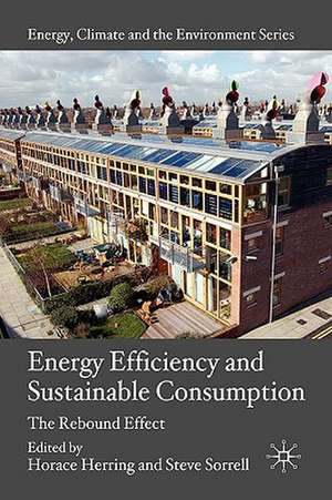 Energy Efficiency and Sustainable Consumption: The Rebound Effect de H. Herring