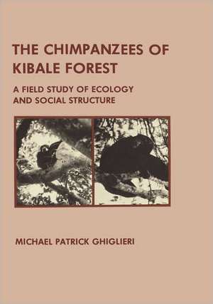 The Chimpanzees of Kibale Forest de M Ghiglieri