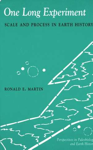 One Long Experiment – Scale & Process in Earth History de Ronald Martin