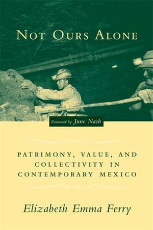 Not Ours Alone – Patrimony, Value, and Collectivity in Contemporary Mexico de Elizabeth E Ferry