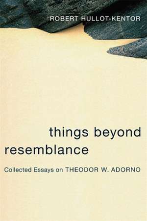 Things Beyond Resemblance – Collected Essays on Theodor W. Adorno de Robert Hullot–kentor