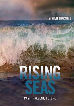 Rising Seas – Past, Present, Future de Vivien Gornitz