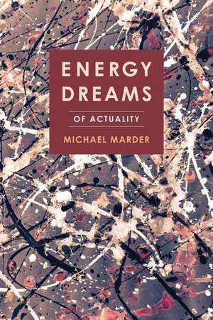 Energy Dreams – Of Actuality de Michael Marder