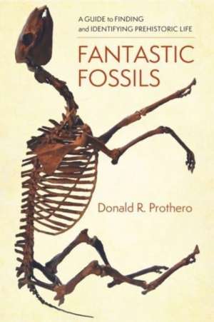 Fantastic Fossils – A Guide to Finding and Identifying Prehistoric Life de Donald R. Prothero