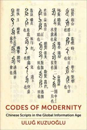 Codes of Modernity – Chinese Scripts in the Global Information Age de Ulu Kuzuoglu