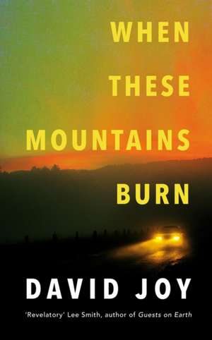 When These Mountains Burn de David Joy